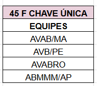 feminino 04